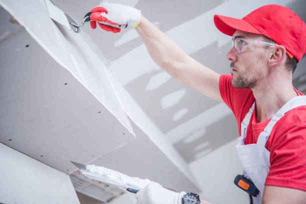 Ashland, MO Mold Removal Company